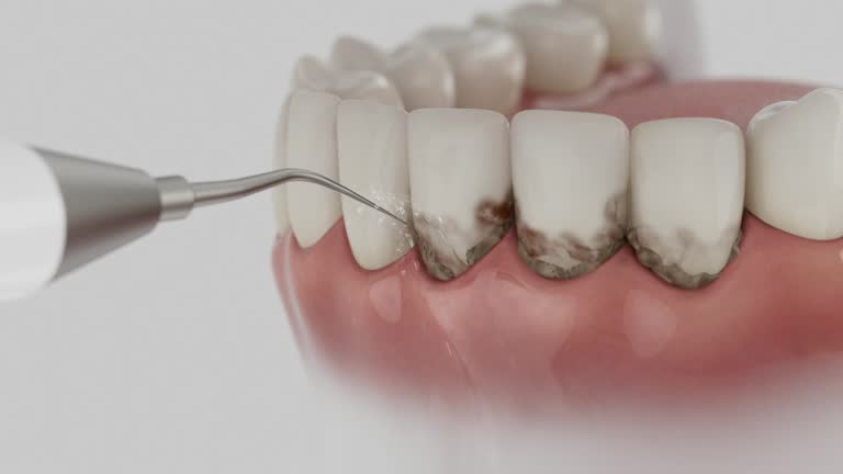 Reliable Dental contractor in New Boston, TX by Dentist Open Now